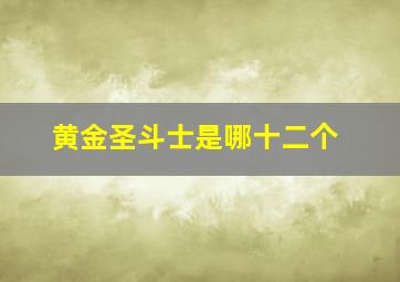 黄金圣斗士是哪十二个