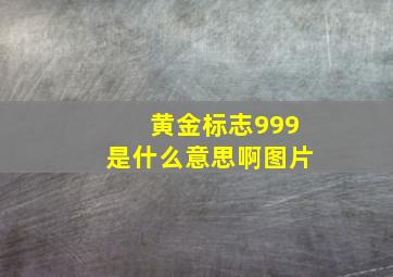 黄金标志999是什么意思啊图片