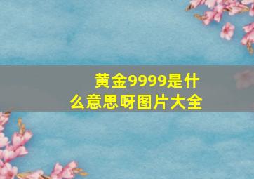 黄金9999是什么意思呀图片大全