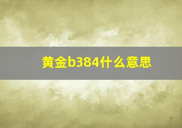 黄金b384什么意思