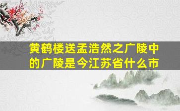 黄鹤楼送孟浩然之广陵中的广陵是今江苏省什么市