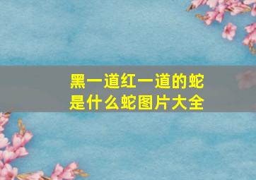 黑一道红一道的蛇是什么蛇图片大全