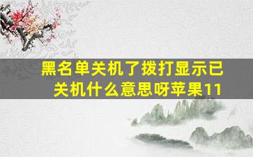 黑名单关机了拨打显示已关机什么意思呀苹果11