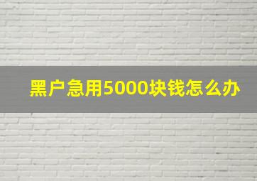 黑户急用5000块钱怎么办