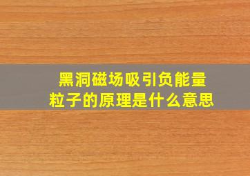 黑洞磁场吸引负能量粒子的原理是什么意思