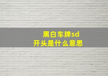 黑白车牌sd开头是什么意思