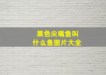 黑色尖嘴鱼叫什么鱼图片大全