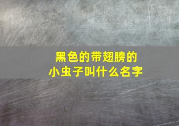 黑色的带翅膀的小虫子叫什么名字