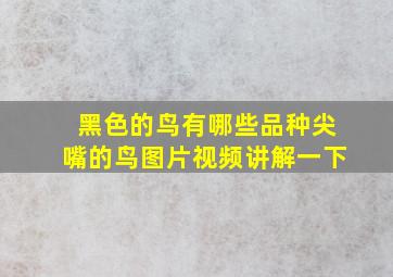 黑色的鸟有哪些品种尖嘴的鸟图片视频讲解一下