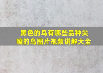 黑色的鸟有哪些品种尖嘴的鸟图片视频讲解大全