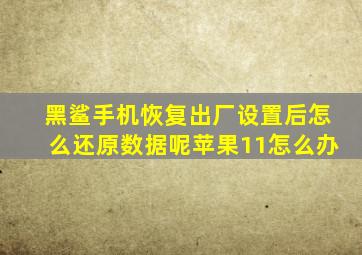 黑鲨手机恢复出厂设置后怎么还原数据呢苹果11怎么办