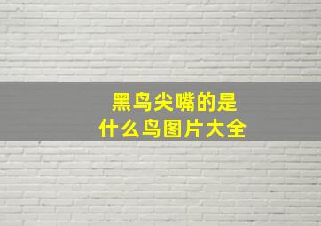 黑鸟尖嘴的是什么鸟图片大全