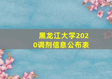 黑龙江大学2020调剂信息公布表