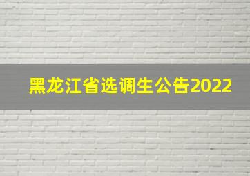 黑龙江省选调生公告2022