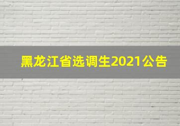 黑龙江省选调生2021公告