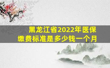 黑龙江省2022年医保缴费标准是多少钱一个月