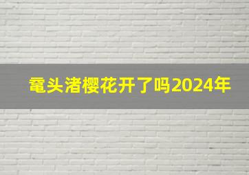 鼋头渚樱花开了吗2024年