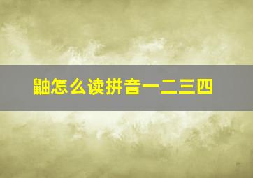 鼬怎么读拼音一二三四