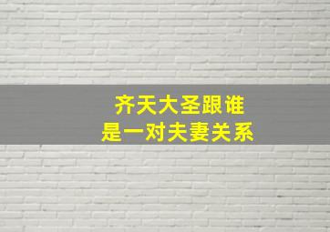 齐天大圣跟谁是一对夫妻关系