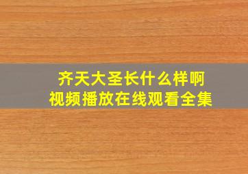 齐天大圣长什么样啊视频播放在线观看全集