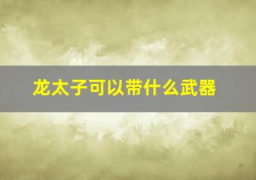 龙太子可以带什么武器