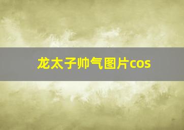 龙太子帅气图片cos