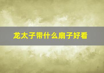 龙太子带什么扇子好看