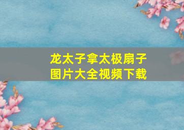 龙太子拿太极扇子图片大全视频下载