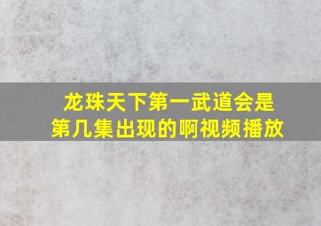 龙珠天下第一武道会是第几集出现的啊视频播放