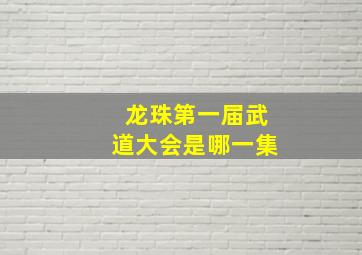 龙珠第一届武道大会是哪一集