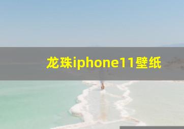 龙珠iphone11壁纸