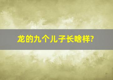 龙的九个儿子长啥样?