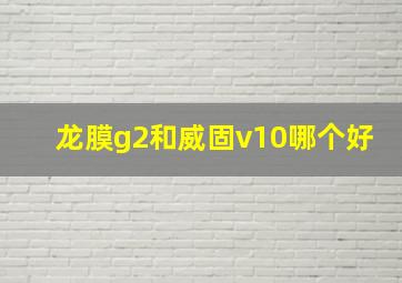 龙膜g2和威固v10哪个好