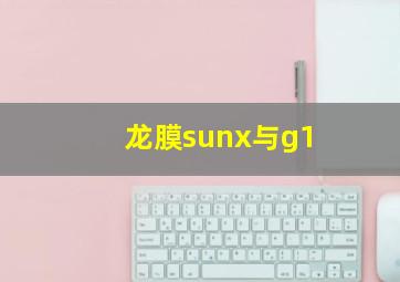 龙膜sunx与g1