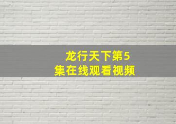 龙行天下第5集在线观看视频