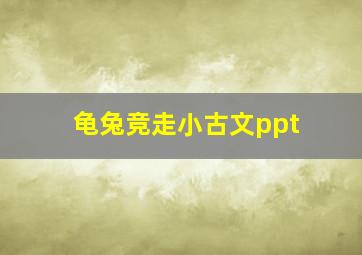 龟兔竞走小古文ppt