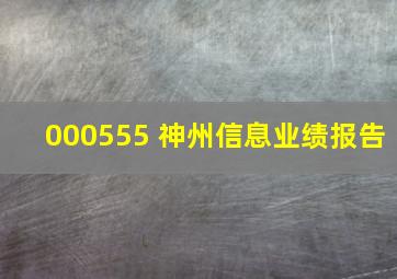 000555 神州信息业绩报告