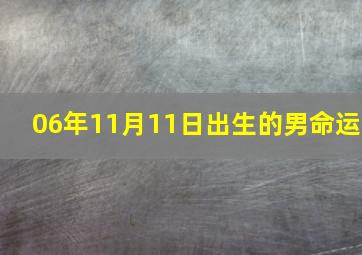 06年11月11日出生的男命运