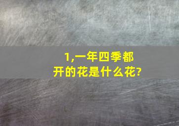 1,一年四季都开的花是什么花?