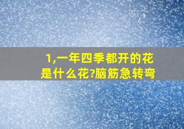 1,一年四季都开的花是什么花?脑筋急转弯