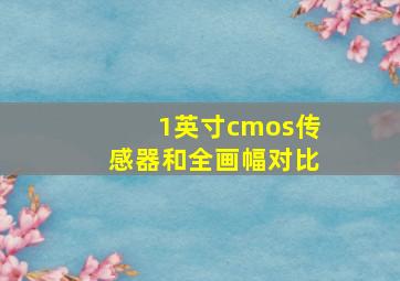 1英寸cmos传感器和全画幅对比