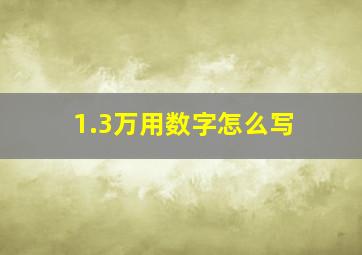 1.3万用数字怎么写