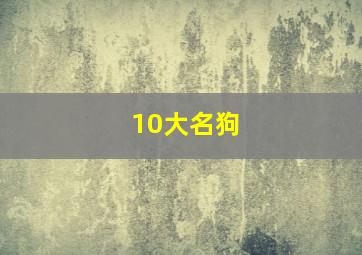 10大名狗