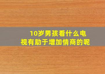 10岁男孩看什么电视有助于增加情商的呢