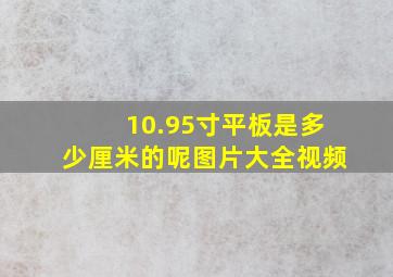 10.95寸平板是多少厘米的呢图片大全视频