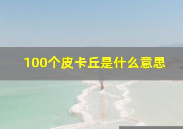 100个皮卡丘是什么意思