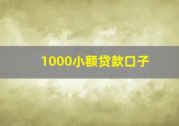 1000小额贷款口子