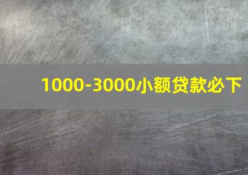 1000-3000小额贷款必下