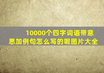 10000个四字词语带意思加例句怎么写的呢图片大全