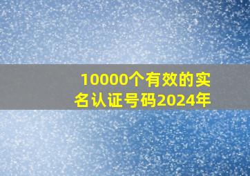 10000个有效的实名认证号码2024年